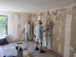 Best Industrial Mold Remediation in Dacula, GA